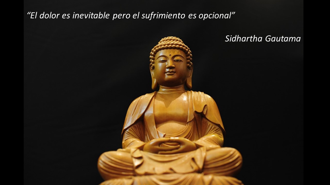 Cultura y Dolor Citas sobre dolor